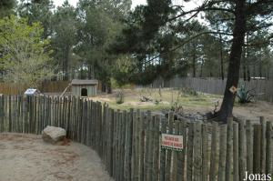 Red-necked wallabies enclosure