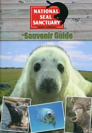 Guide 2008