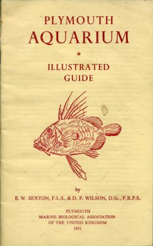 Guide 1951