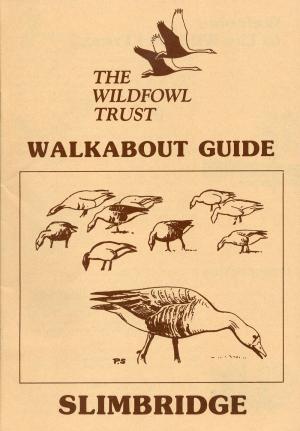 Guide 1986