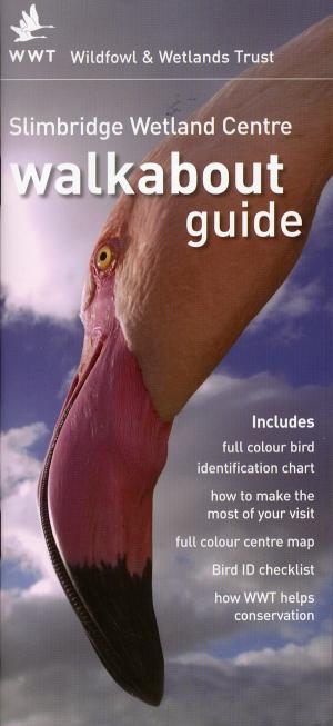 Guide 2006