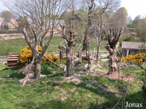 Enclos des macaques des Célèbes