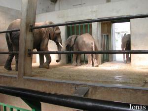 Pavillon des éléphants