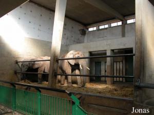 Pavillon des éléphants