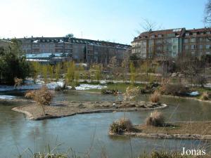 Enclos des flamants roses