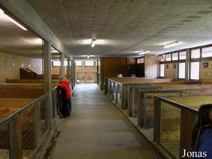 Bâtiment du Kinderzoo