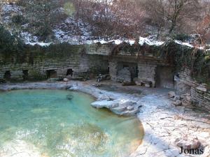 Bassin des manchots du Cap