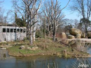 Île des singes verts