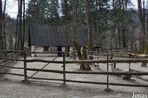 Enclos des ânes domestiques