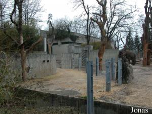 Enclos extérieur de l'éléphant mâle