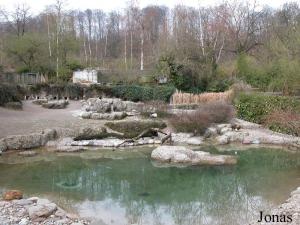 Enclos des manchots et oiseaux aquatiques