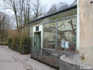 Pavillon des primates