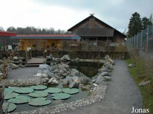 Enclos des oies et des canards