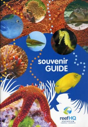 Guide 2007