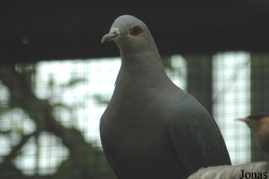 Vogelpark Walsrode