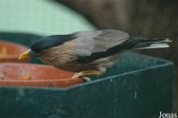 Vogelpark Walsrode