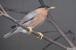 Vogelpark Ruinen