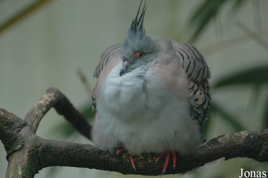 Tierpark Ströhen