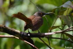 Parc National de Guadeloupe