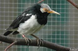 Tiergarten Zum Hirsch