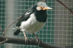 Tiergarten Zum Hirsch