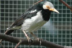 Tiergarten Zum Hirsch