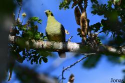 Parc National de Lokobe
