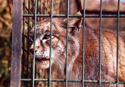 Parc Zoologique des Abrets