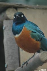 Tierpark Gettorf