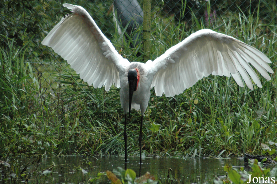 Vogelpark Niendorf