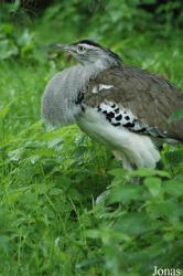 Vogelpark Niendorf