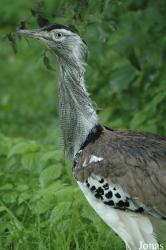 Vogelpark Niendorf