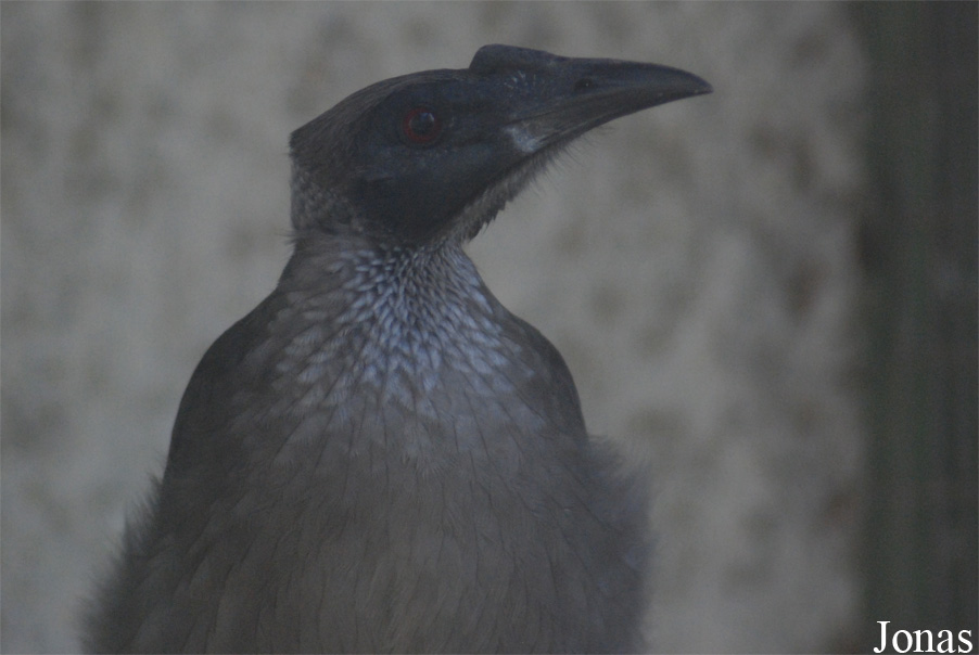 Vogelpark Heppenheim