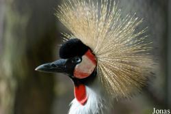 Zoo Landau in der Pfalz