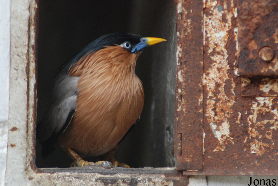 Solinger Vogel- und Tierpark