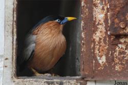 Solinger Vogel- und Tierpark