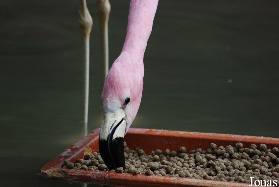 Zoo Wuppertal