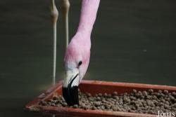Zoo Wuppertal