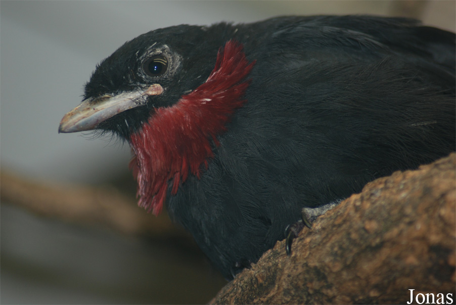 Zoo Wuppertal