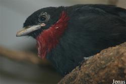 Zoo Wuppertal
