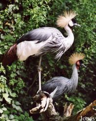 Zoo Landau in der Pfalz