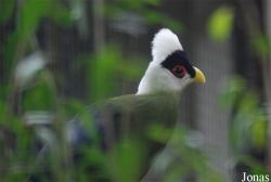 Zoo Antwerpen
