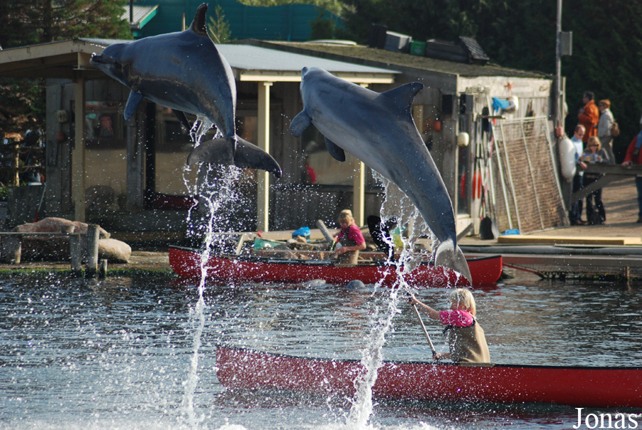 Dolfinarium Harderwijk