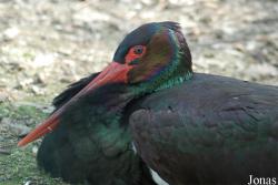 Zoo Olomouc