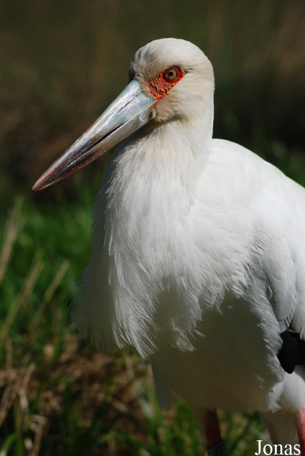 Zoo Zlín
