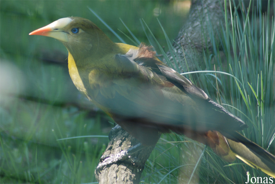 Zoo Zlín
