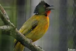 Zoo Praha