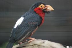 Zoo Praha