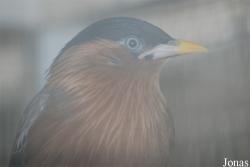 Zoologická a botanická zahrada města Plzně