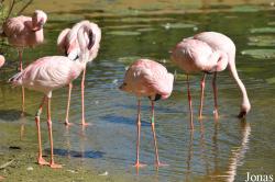 Aqua Zoo Friesland